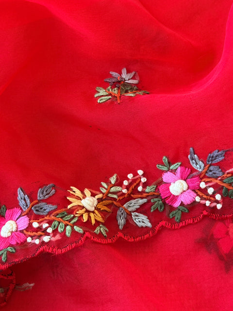 Hand Emb Organza saree