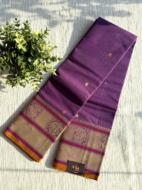 Paisley annam weaving kanchi cotton saree