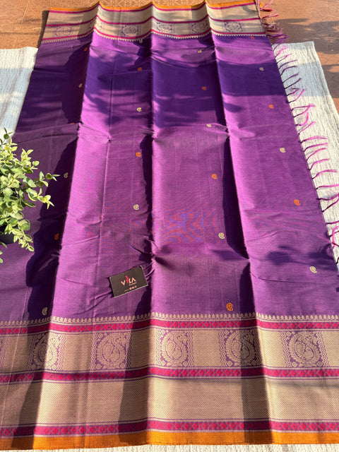 Paisley annam weaving kanchi cotton saree