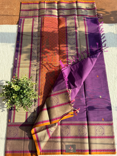 Paisley annam weaving kanchi cotton saree