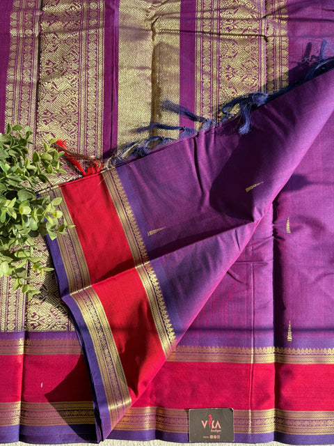 Bhutta weaving kanchi cotton saree