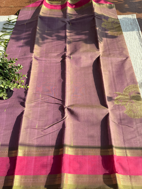 Bhutta weaving kanchi cotton saree