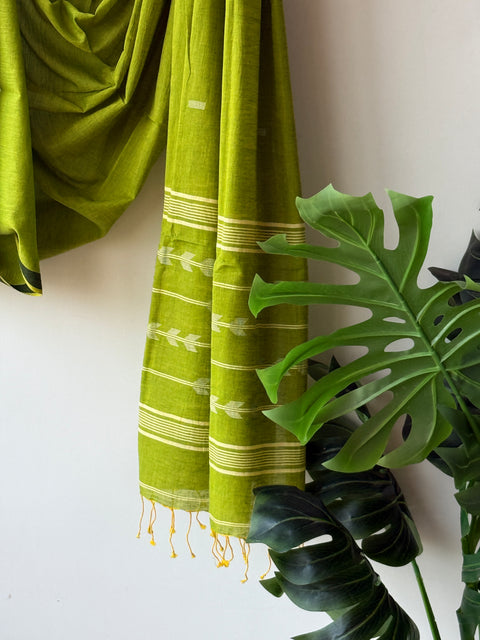 Jamdani Handloom Cotton dupatta