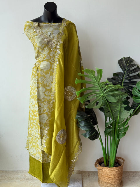 tissue silk dress material Mint green diamond tissue silk hand embroidered suit set Safetyypins