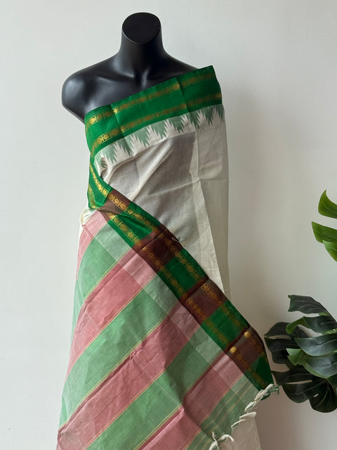 Ganga Jamuna Border Chettinad cotton saree