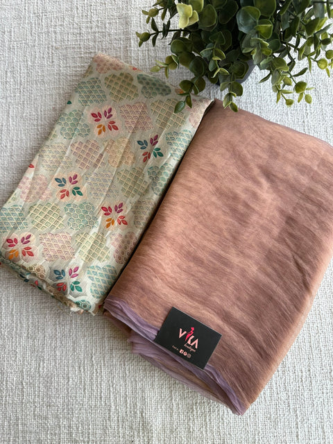 Shiny tissue organza saree