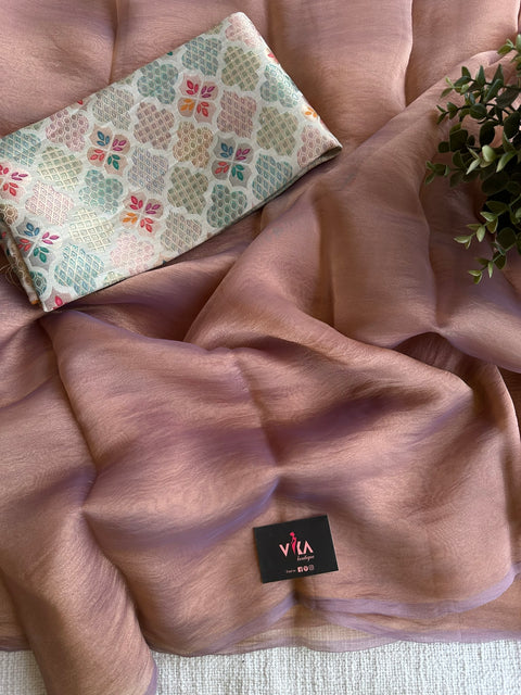 Shiny tissue organza saree