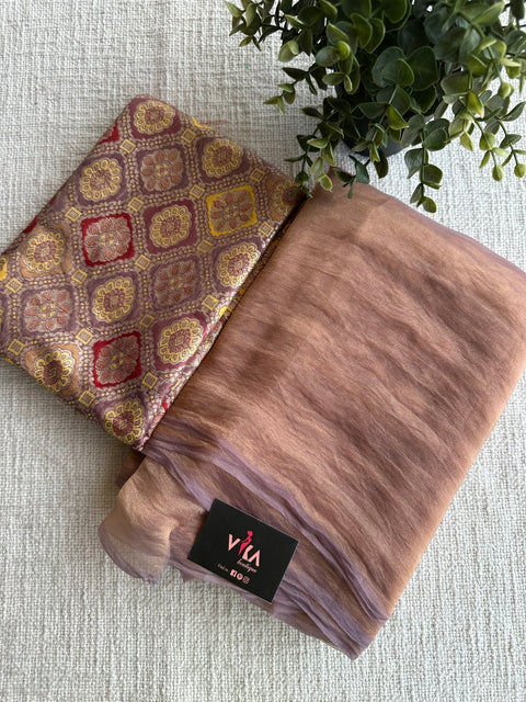 Shiny tissue organza saree