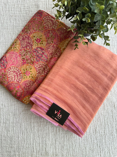 Shiny tissue organza saree