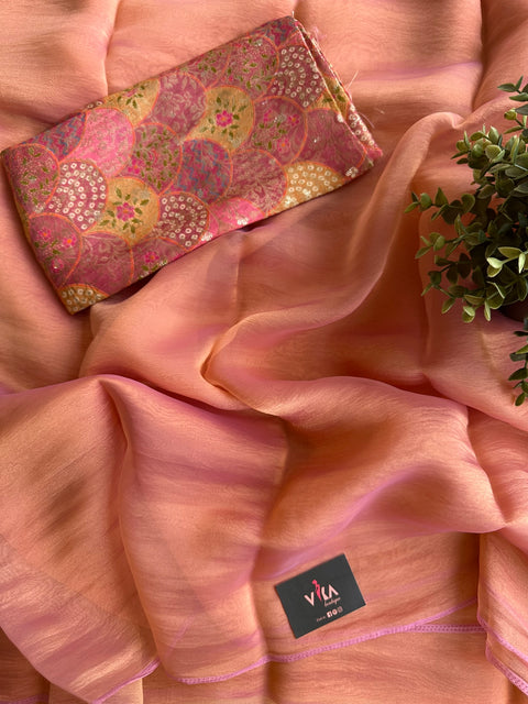 Shiny tissue organza saree
