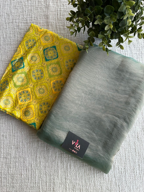 Shiny tissue organza saree