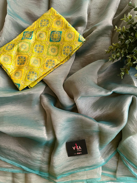 Shiny tissue organza saree
