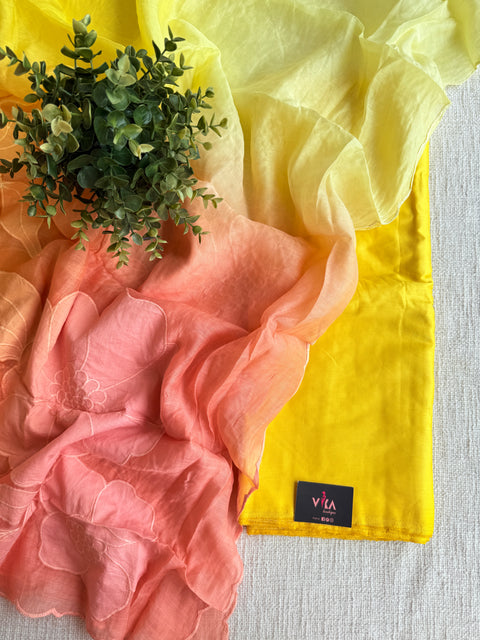 4D shaded Mul chanderi dupatta set