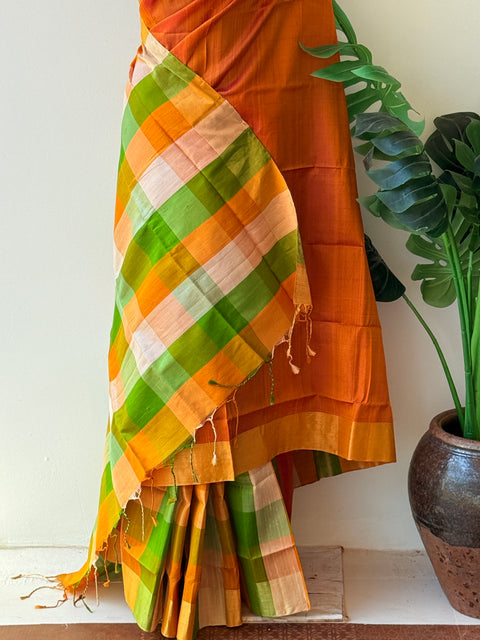 Multichecked Partly pallu raw silk saree